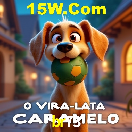 br73.com