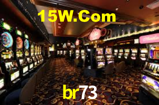 Premium Interface br73